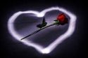 Filename=valentine_s_day_red_rose_in_heart.jpg
Filesize=22KB
Dimensions=500x333
Date added=Feb 14, 2011 valentine_s_day_red_rose_in_heart.jpg