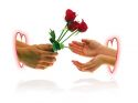 Filename=valentine_s_day_rose_card.jpg
Filesize=51KB
Dimensions=500x375
Date added=Feb 14, 2011 valentine_s_day_rose_card.jpg