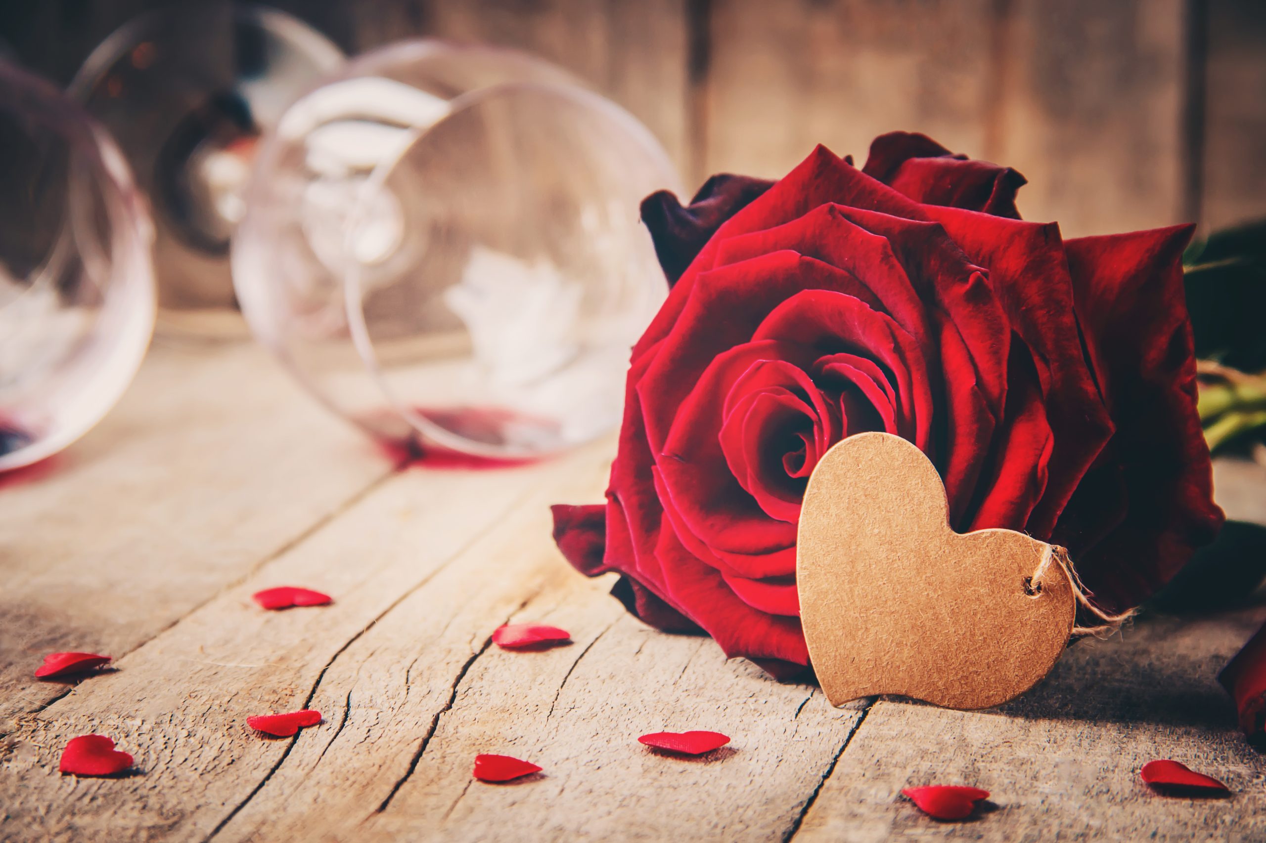 Beautiful Love Expression with Red Rose – Happy Valentine’s Day