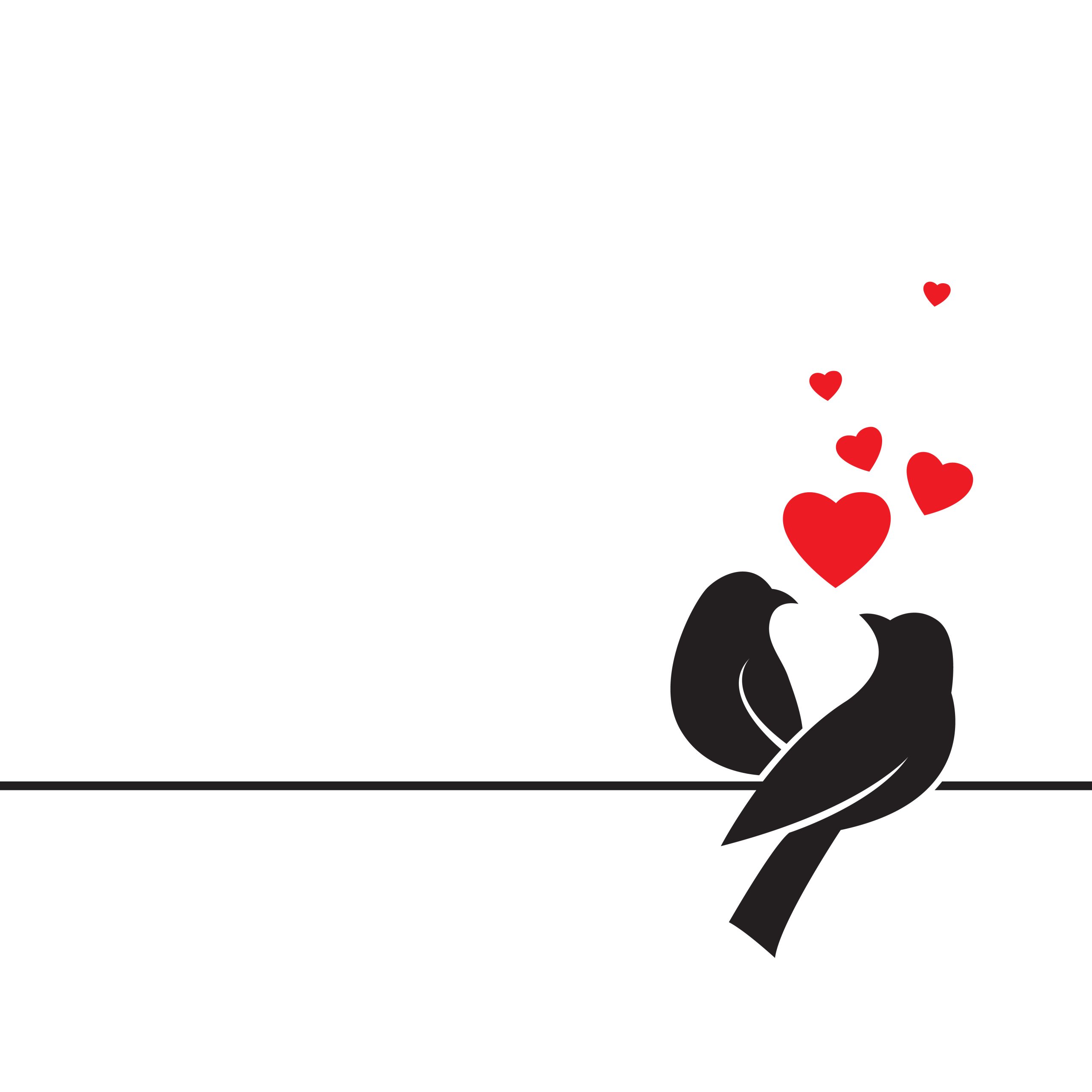 It is a love epic where beautiful birds express their feelings – Happy Valentine’s Day
